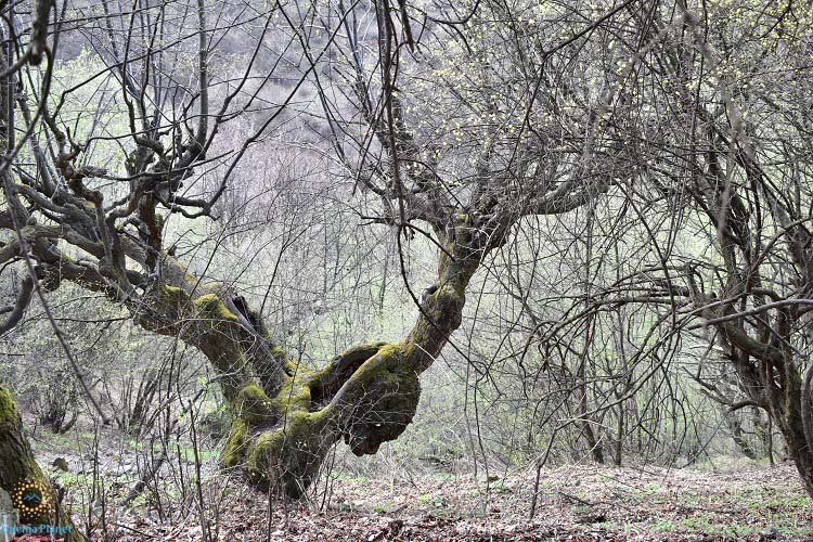 Hiking Haghpat - Akner - Sanahin