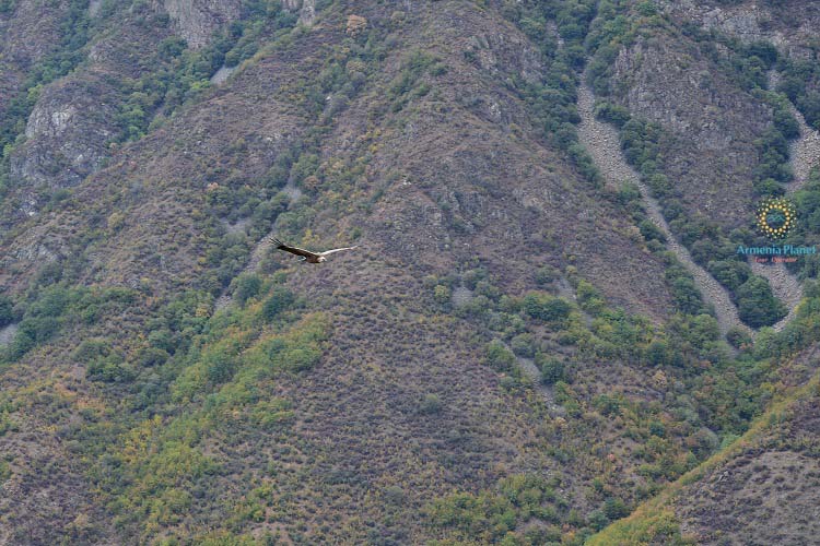 Hiking Odzun - Kobayr Monastery