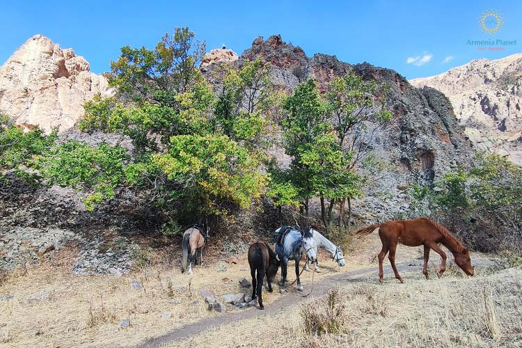 Horseback riding to wonders of Kapuyt