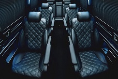 Minibus de luxe