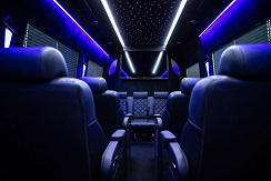 Minibus de luxe