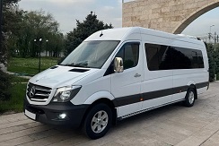 Minibus confort